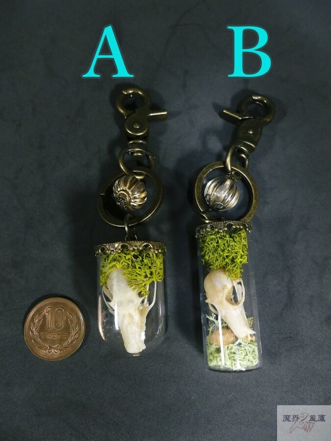インドネシア　コウモリの頭骨 9点セット コウモリ頭骨のキーホルダー | 魔界ノ風鷹