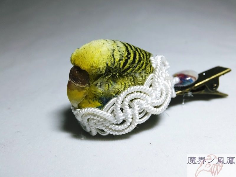No.1031 危険な愛　アンティークインコちゃんヘアクリップピン fit=scale-down,w=1200