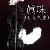 くるりん☆けもののしっぽ（眞珠）