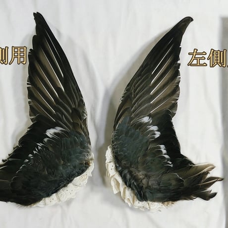 コガモ翼の髪飾り