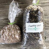 実生専用土セット