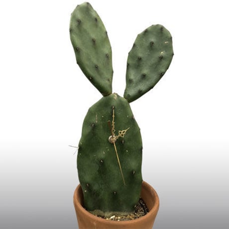 Cactus Clock   カクタスクロック (No.5)