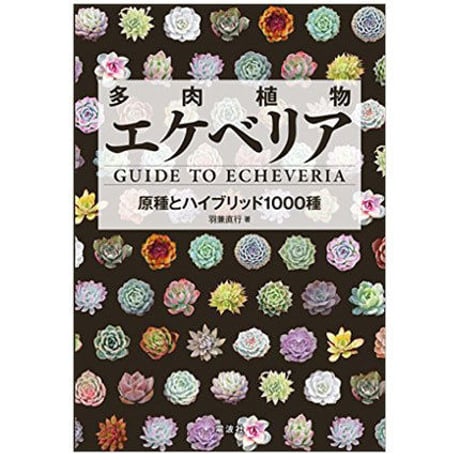 書籍 多肉植物エケベリア GUIDE  TO  ECHEVERIA  改訂版　（サイン入り）