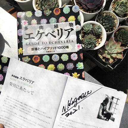 書籍 多肉植物エケベリア GUIDE TO ECHEVERIA 改訂版 （サイン入り）