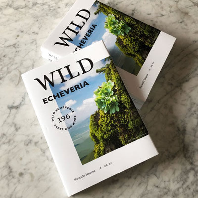 書籍 WILD ECHEVERIA（サイン入り） | sabotensoudanshitsu