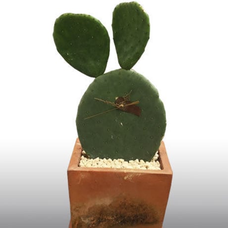 Cactus Clock   カクタスクロック (No.2)