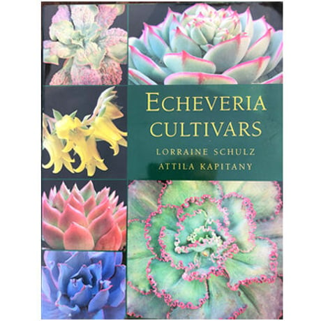 洋書 ECHEVERIA  CULTIVARS