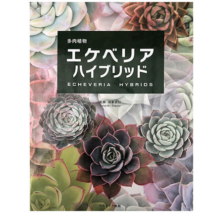 書籍 多肉植物エケベリアハイブリッド（サイン入り