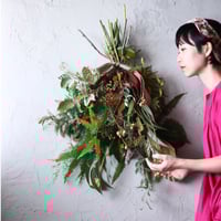 スワッグ(ミモザの木) / ドライフラワー　スワッグ　壁掛け　ミモザ　ユーカリ ミモザとユーカリのスワッグ ドライフラワー 横長スワッグ