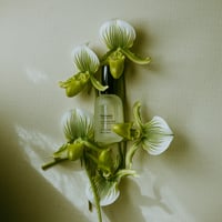 Aromatic room Spray "Refresh"