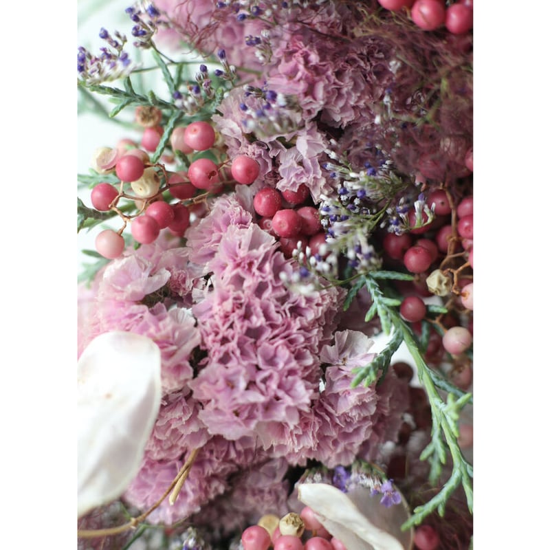 スモーキーピンクなスモークツリー のリース29㎝リューカデンドロン　スターチス スモーキーピンクなスモークツリー のリース29㎝リューカ