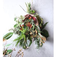 ＜数量限定＞ Early Autumn 実物スワッグ（壁掛け）定番サイズ