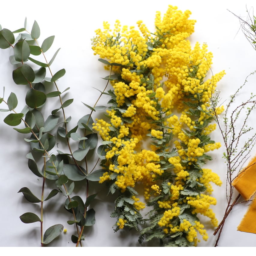 フレッシュミモザのスワッグ❁︎ 受注生産】ミモザのスワッグ | Glanet collection
