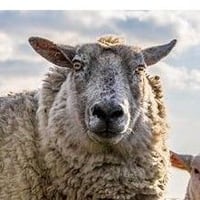 打倒ストレス！究極（？）の眠れるラジオ（本編＋フリートーク）mp3