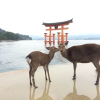 鹿島良太バースデースペシャル2 mp3