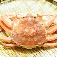 カニくらいじゃ消せない mp3