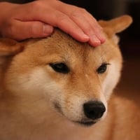 伊藤裕一ソロトーク「褒めちぎる男」mp3