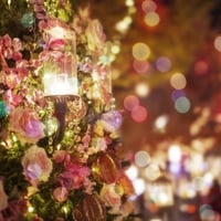 クリスマスはまだまだ終わらない！「使うと会話のリズムが崩れる世界のことわざ その8」mp3
