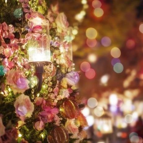 クリスマスはまだまだ終わらない！「使うと会話のリズムが崩れる世界のことわざ その8」mp3