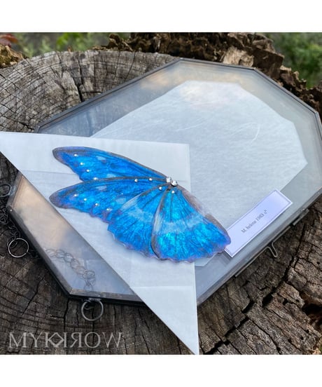 CATEGORY 実柚季(MYK WORK) | Arcobaleno Magia onlin