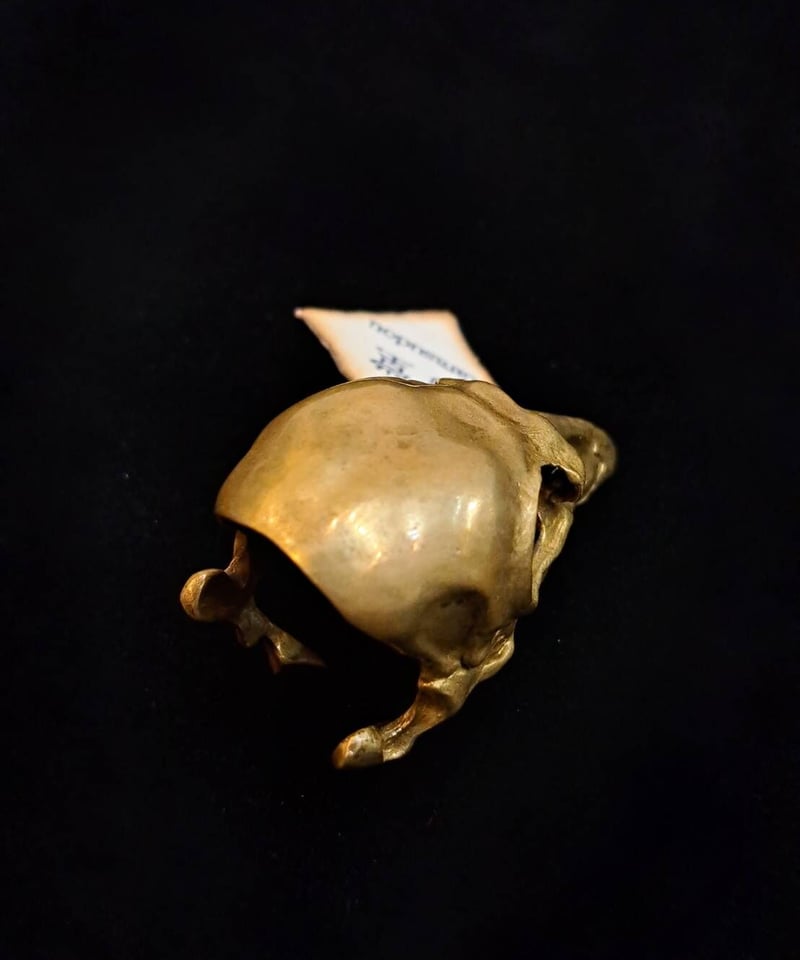 烏堂/からすどう カラスの頭骨リング（真鍮） | Arcobaleno