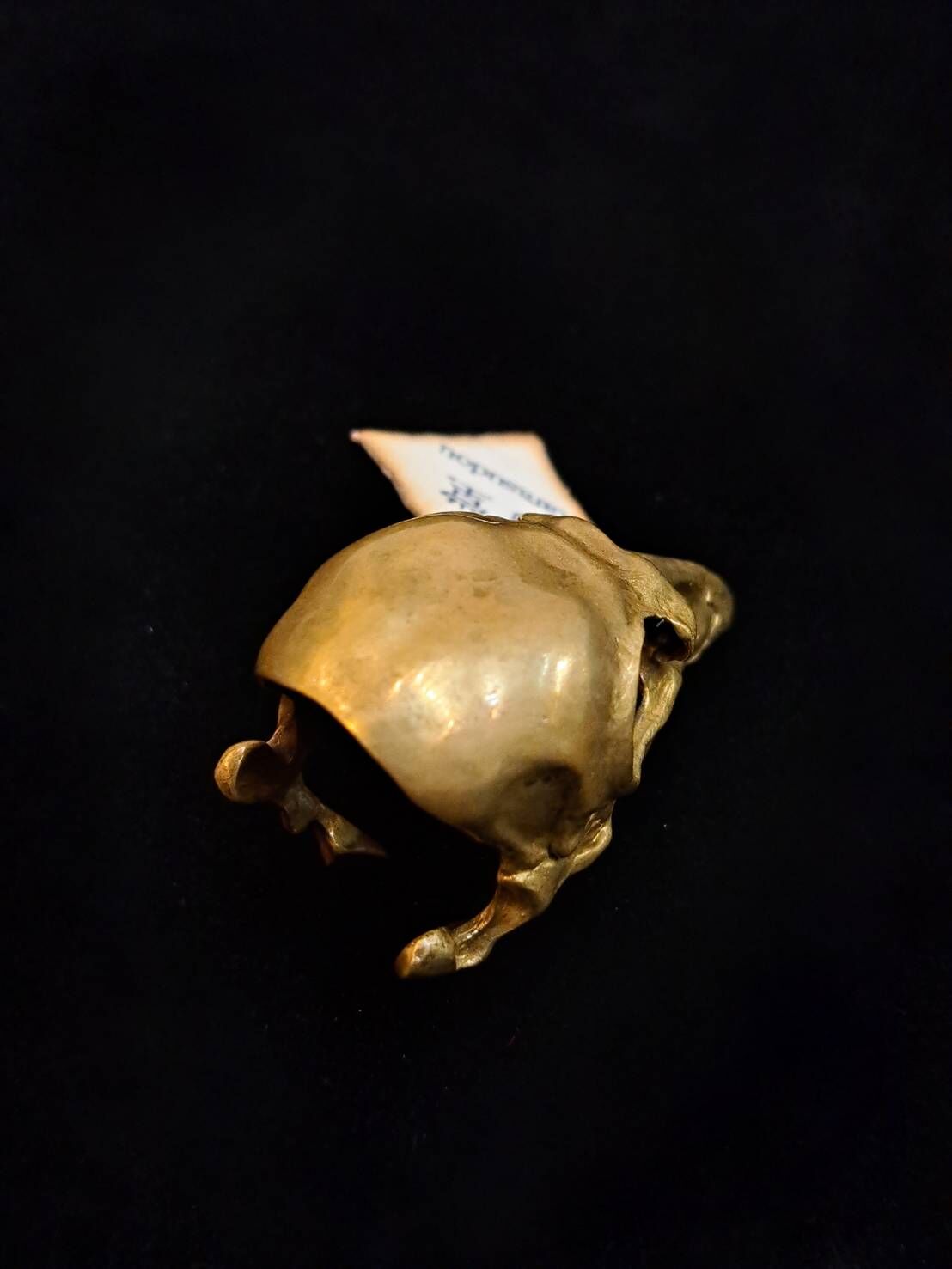 烏堂/からすどう カラスの頭骨リング（真鍮） | Arcobaleno