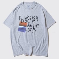 DEMARCOLAB FOREIGN DUCK REV.TEE - H,GREY