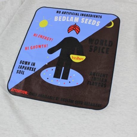 BEDLAM SEEDS TEE - H, GREY