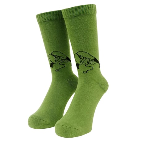 WHIMSY MINT SOCKS
