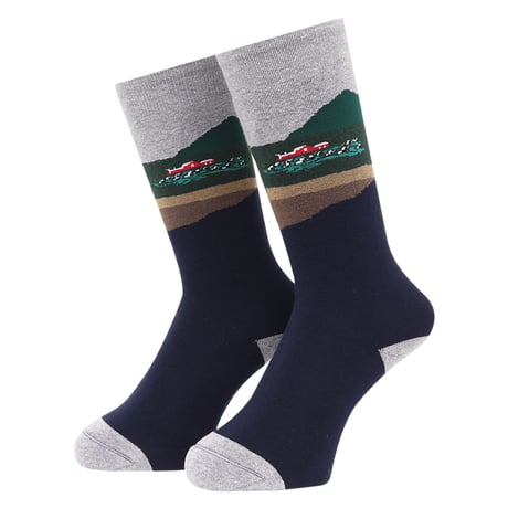 WHIMSY  SOCKS FARM SOCKS