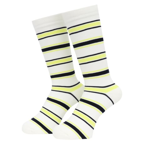 WHIMSY BORDER SOCKS