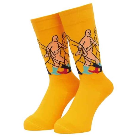 WHIMSY SO HI SOCKS
