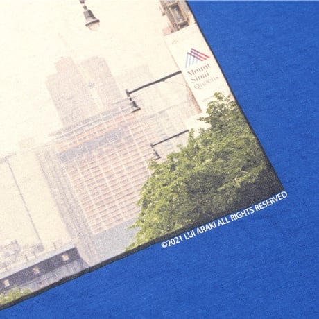 HELLRAZOR X RUI ARAKI PHOTO "TRAFFIC" TEE -ROYAL