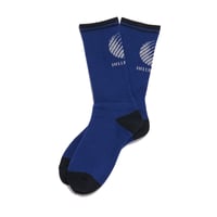 HELLRAZOR LOGO SOX - BLUE/GREY