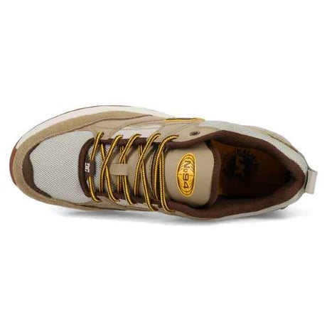 DCSHOES ASCEND LE