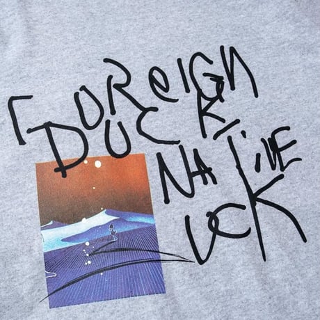 DEMARCOLAB FOREIGN DUCK REV.TEE - H,GREY