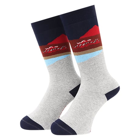 WHIMSY  SOCKS FARM SOCKS