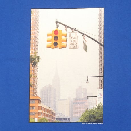 HELLRAZOR X RUI ARAKI PHOTO "TRAFFIC" TEE -ROYAL