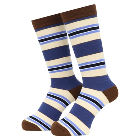 WHIMSY BORDER SOCKS