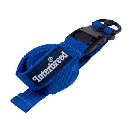 INTERBREED EASY TOUCH BELT - BLUE