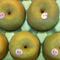 呉羽梨 XL 4玉
