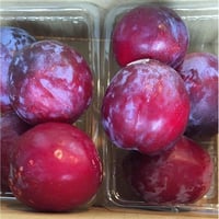 プラム太陽 2P