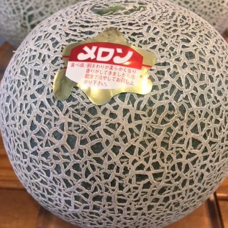 北海道スワン赤肉メロン