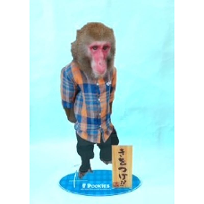 Pookies】カイ君引退公演記念グッズ Bigアクリルスタンド | 阿蘇