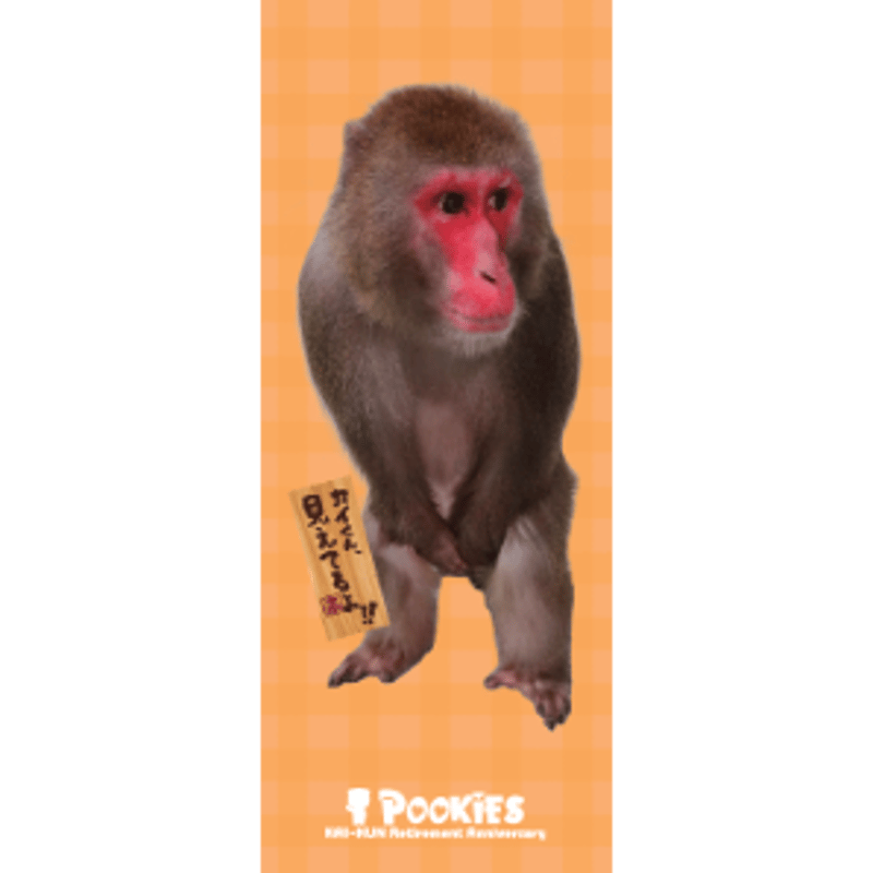 Pookies】カイ君引退公演グッズ フェイスタオル | 阿蘇カドリー