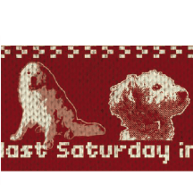 2025 プキフェス】 フリースマフラー | 阿蘇カドリー・ドミニオン 公式