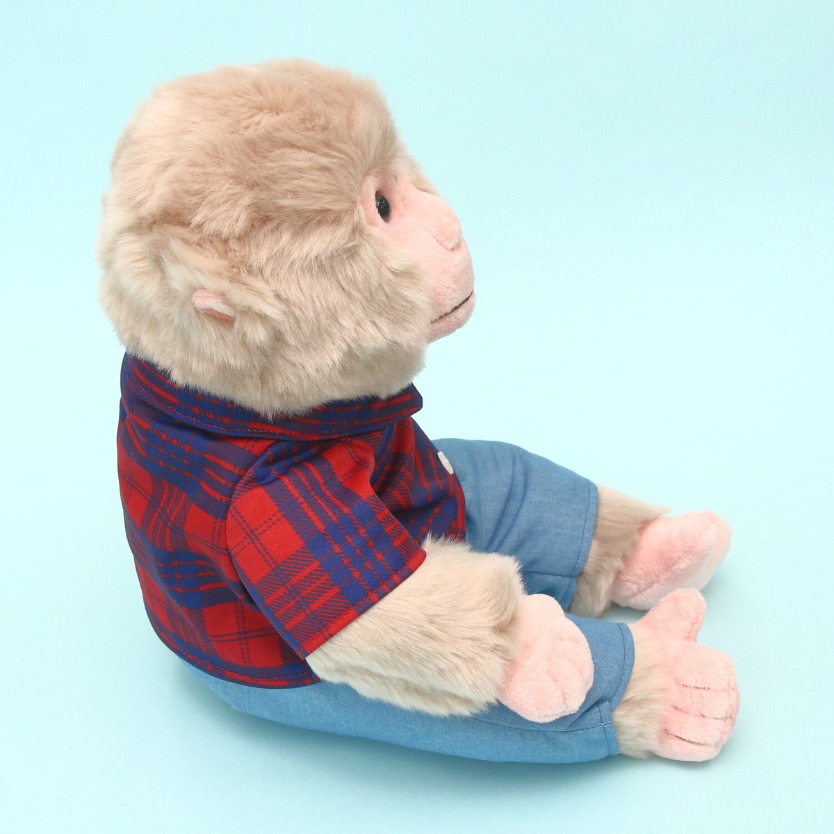 ぬいぐるみ KaYa Amazon.co.jp: セキグチ TRUZ ぬいぐるみ CHILLI 601554 : おもちゃ