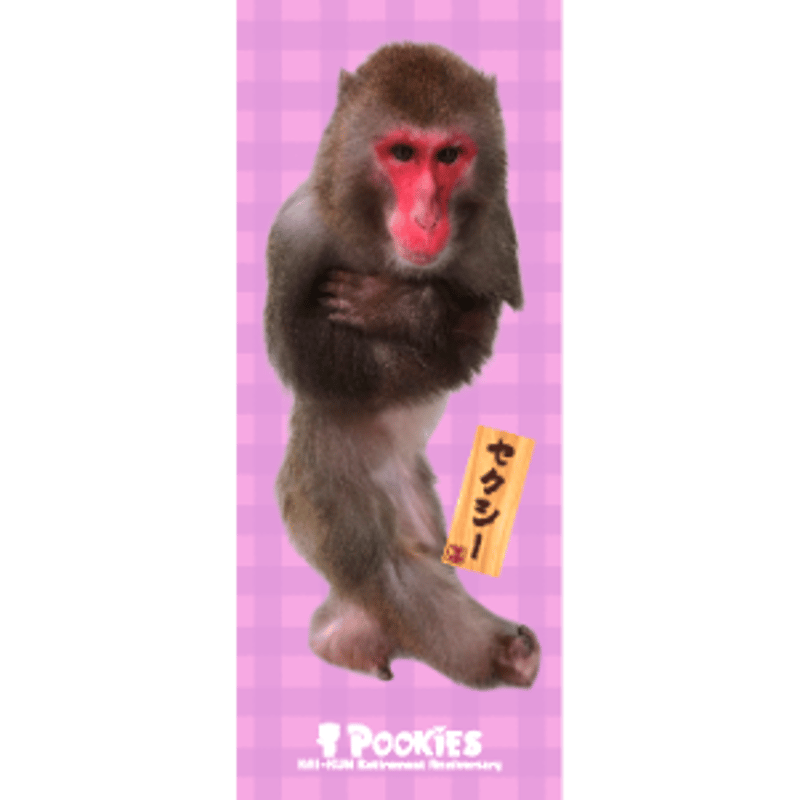 Pookies】カイ君引退公演グッズ フェイスタオル | 阿蘇カドリー