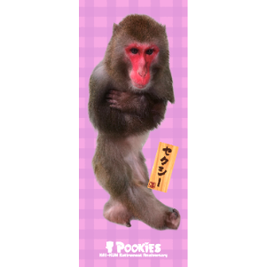 Pookies】カイ君引退公演グッズ フェイスタオル | 阿蘇カドリー