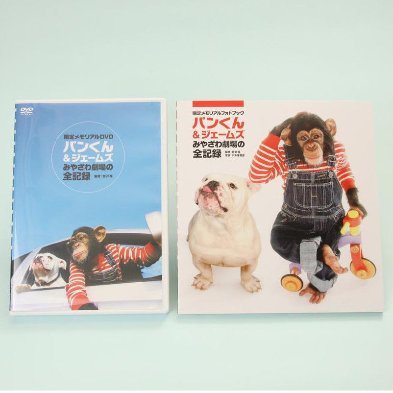 やすまる様用　dvdパンフ 9インチフルセグTV＆DVDプレーヤー HAK-9TV 【プラザセレクト